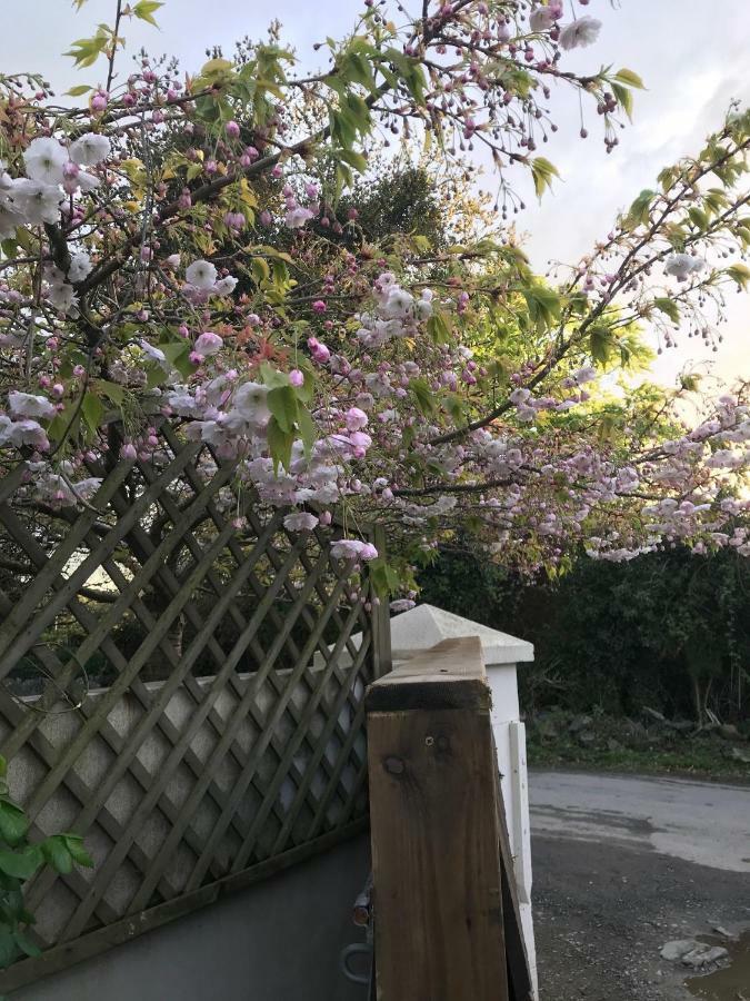 Tracey'S Farmhouse Cottage Belfast Exterior foto